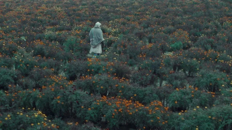 The Calf Doll (2026)